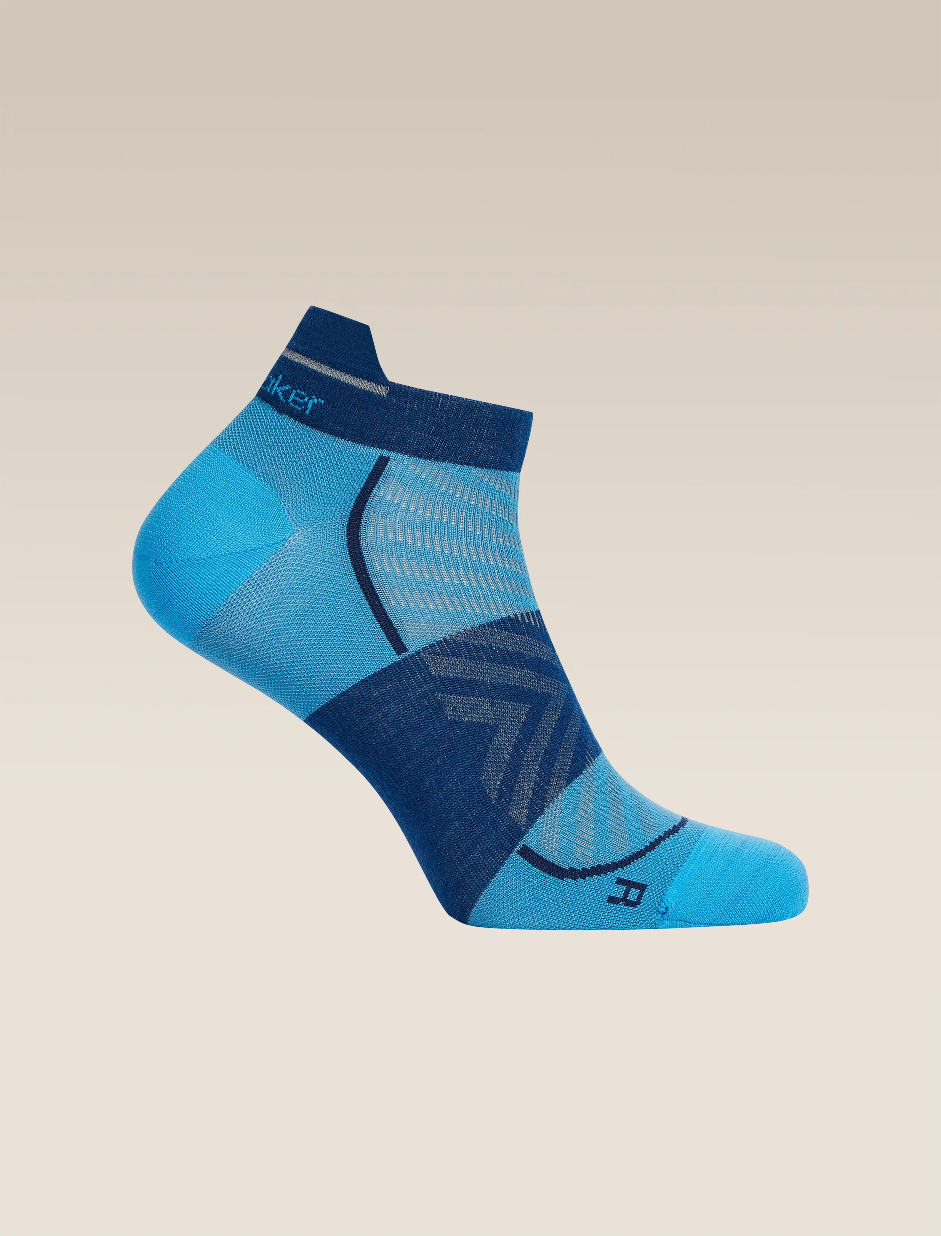 Men's Merino Blend Run+ Ultralight Micro Socks