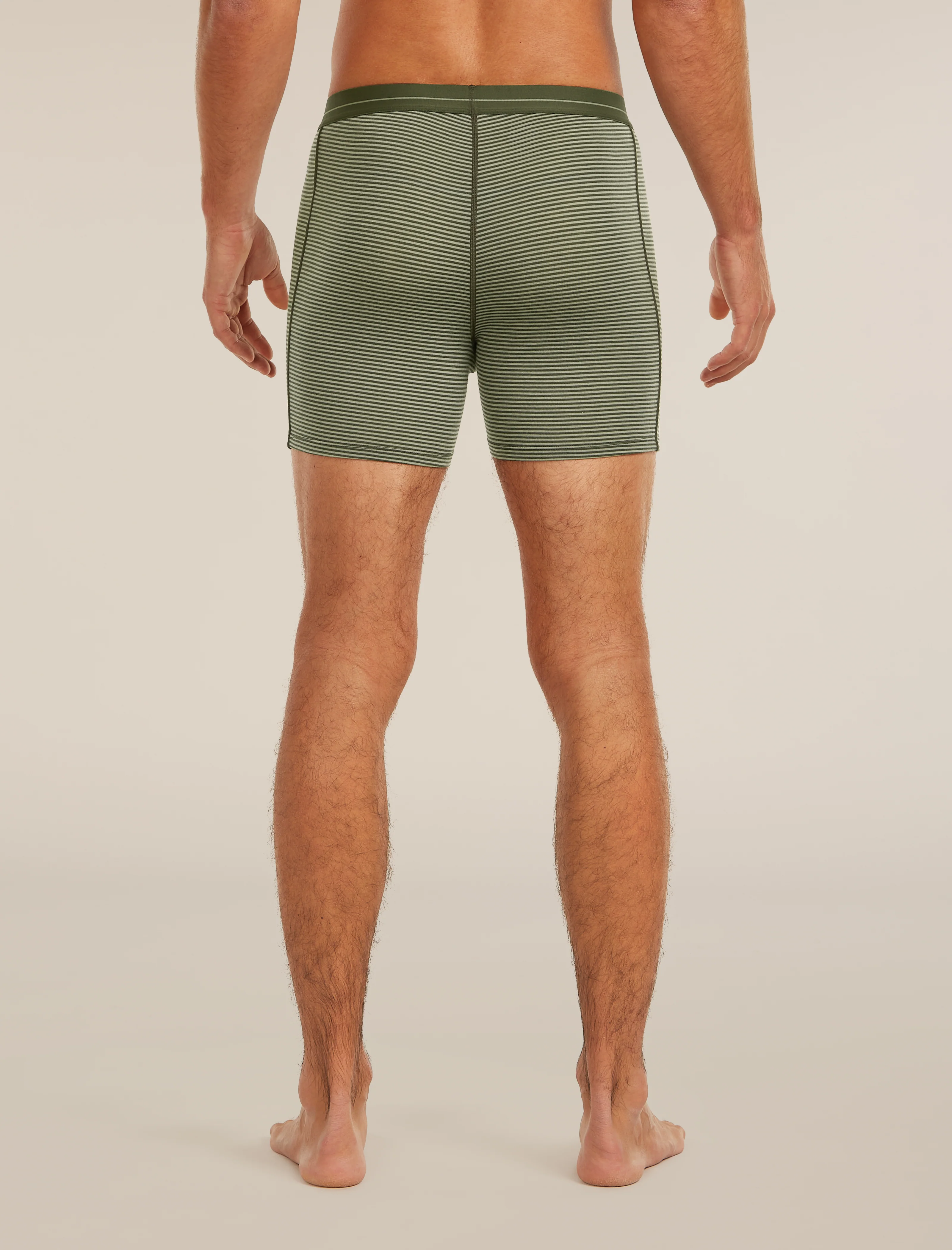 Men's Merino 150 Anatomica Boxers