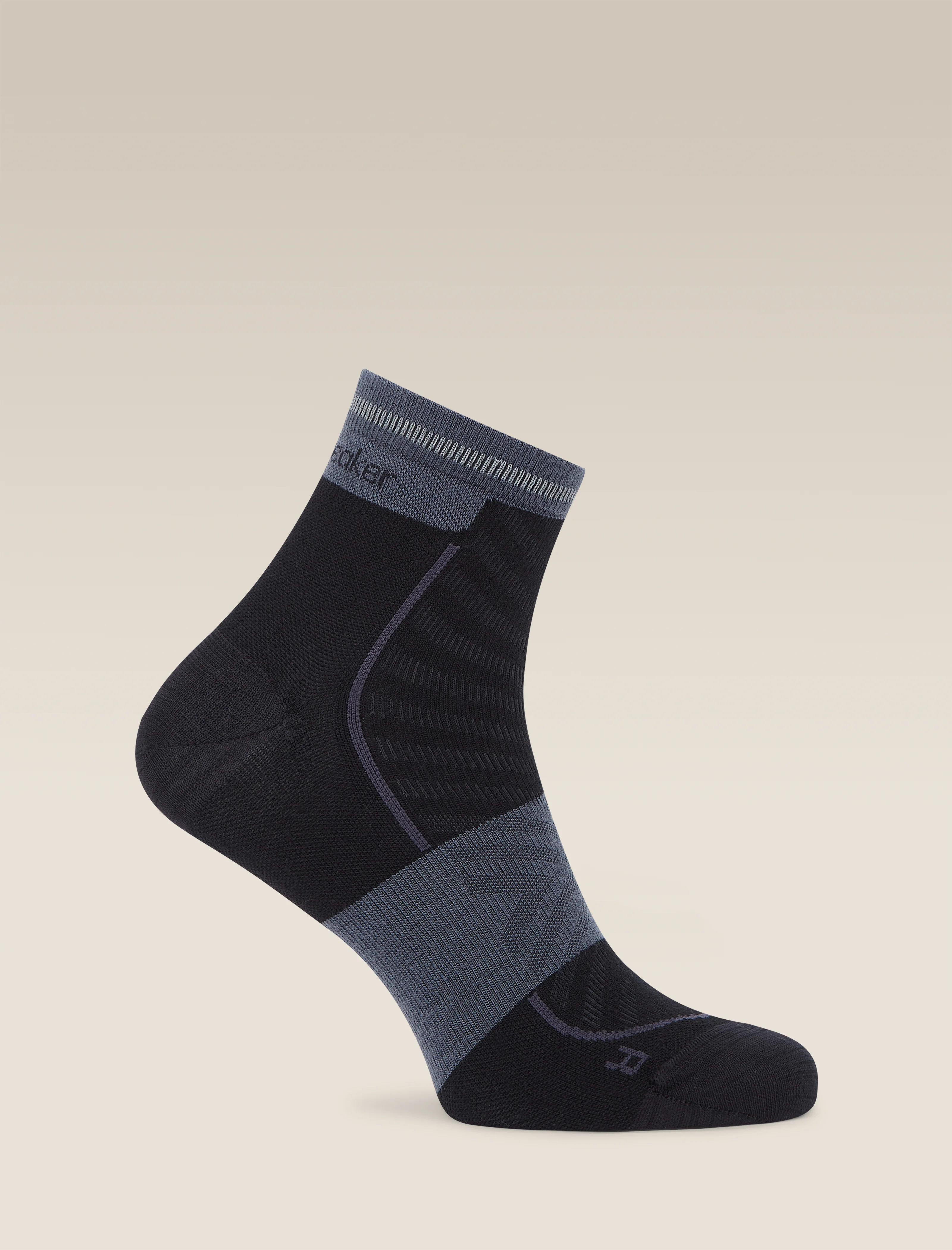 Men's Merino Blend Run+ Ultralight Mini Socks