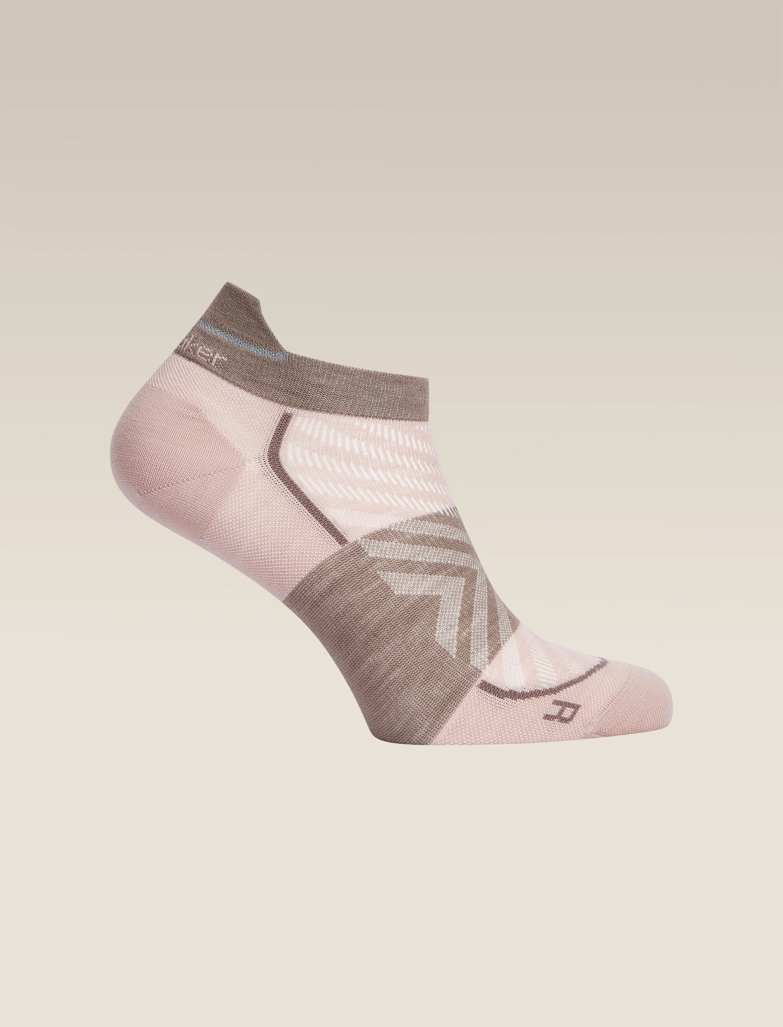 Women's Merino Blend Run+ Ultralight Micro Socks