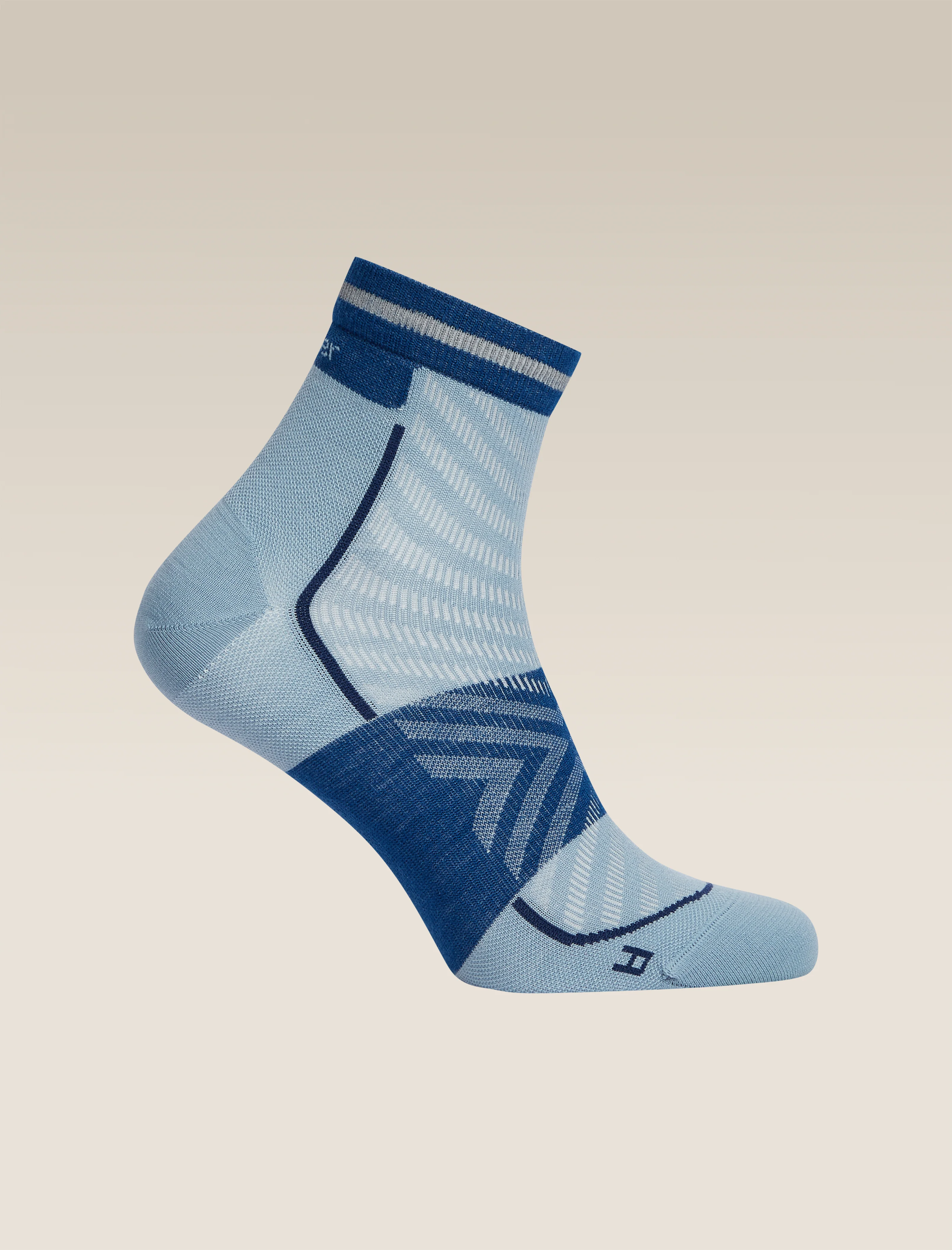 Men's Merino Blend Run+ Ultralight Mini Socks